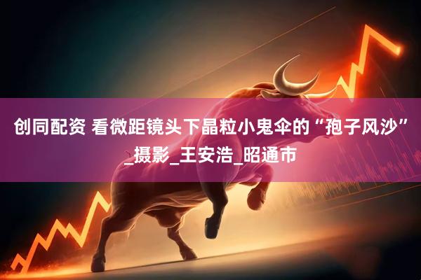 创同配资 看微距镜头下晶粒小鬼伞的“孢子风沙”_摄影_王安浩_昭通市